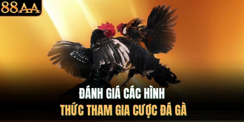 Đánh giá các hình thức tham gia cược đá gà