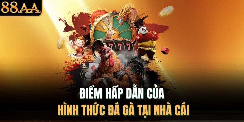 Điểm hấp dẫn của hình thức đá gà tại nhà cái