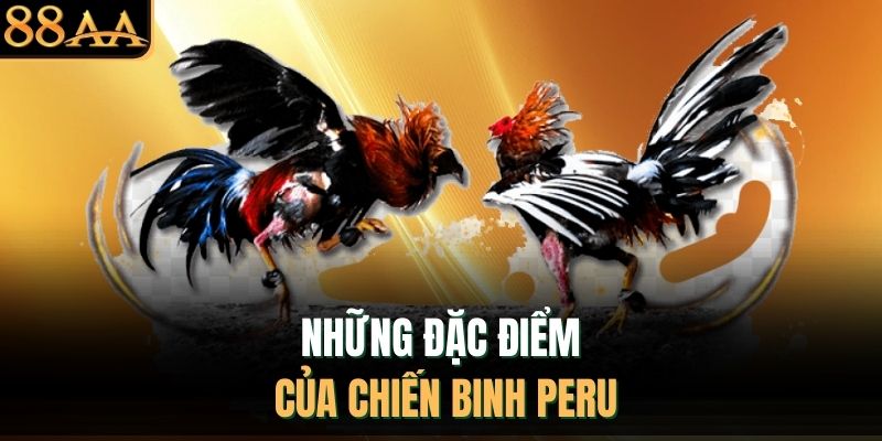 Những đặc điểm của chiến binh Peru