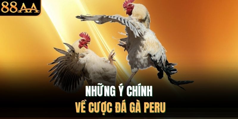 Những ý chính về cược đá gà Peru